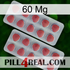 60 Mg 19